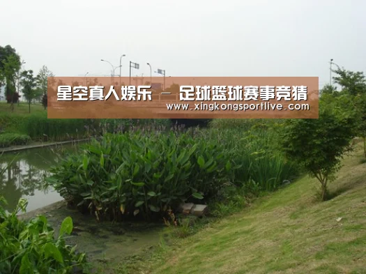 案例展示四
