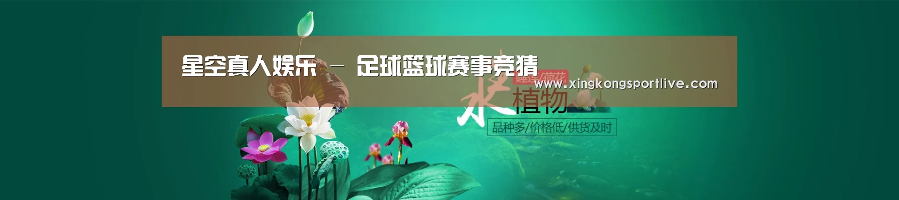 鲜花水草花卉网站模板
