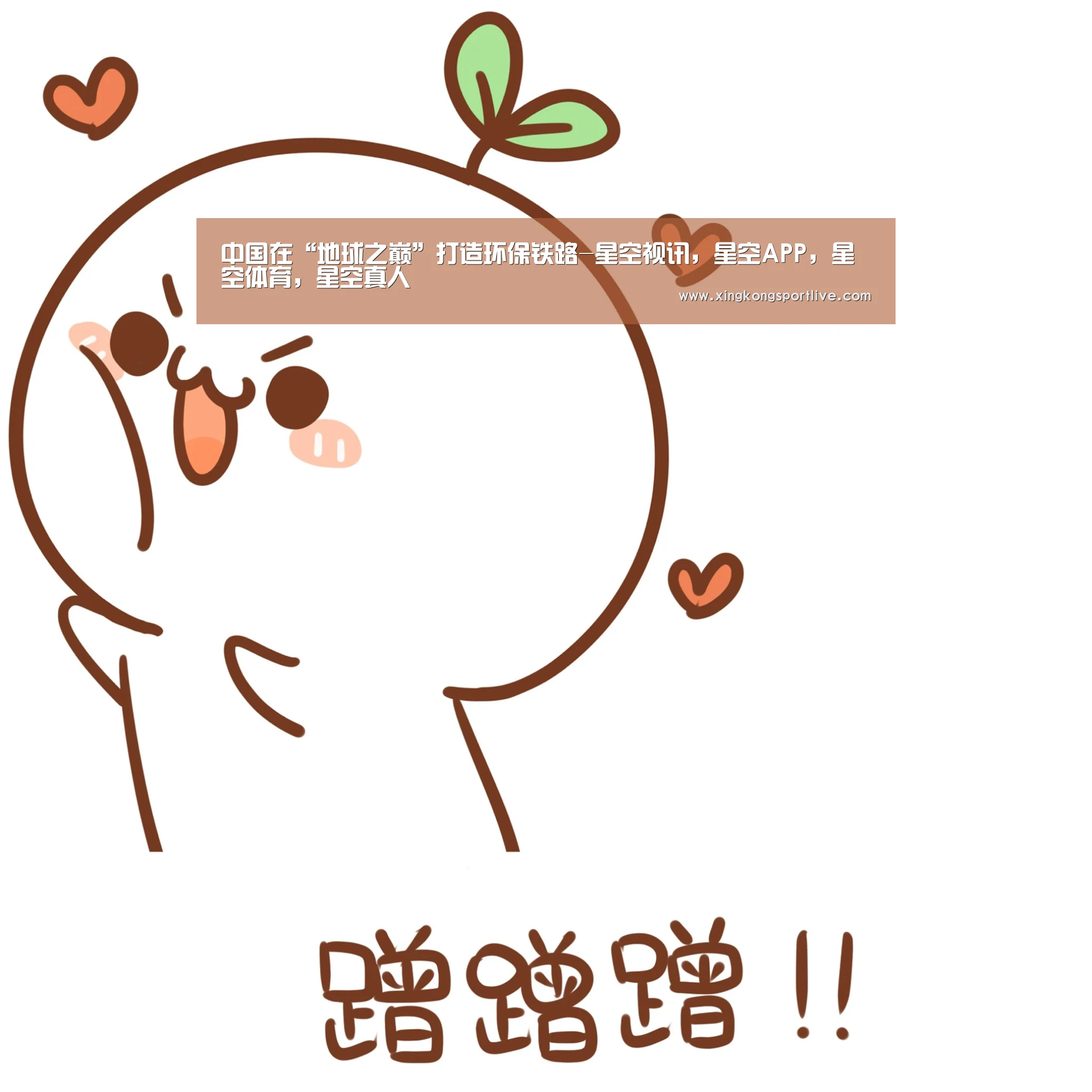 中国在“地球之巅”打造环保铁路-星空视讯,星空APP,星空体育,星空真人(图3) 星空视讯,星空APP,星空体育,星空真人