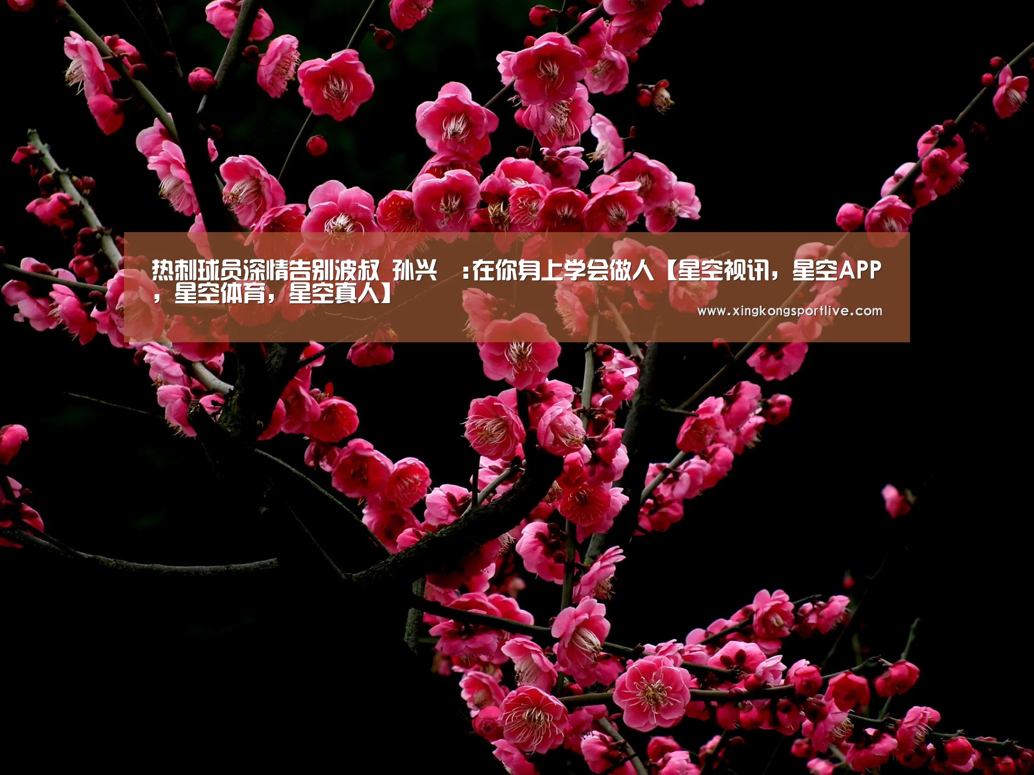 热刺球员深情告别波叔 孙兴慜:在你身上学会做人【星空视讯,星空APP,星空体育,星空真人】(图2) 星空视讯,星空APP,星空体育,星空真人
