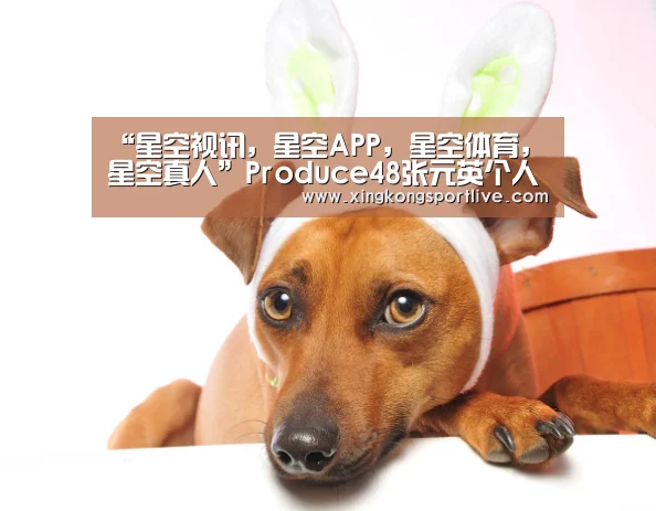 “星空视讯,星空APP,星空体育,星空真人”Produce48张元英个人资料 张元英年龄、身高及家庭背景(图1) 星空视讯,星空APP,星空体育,星空真人