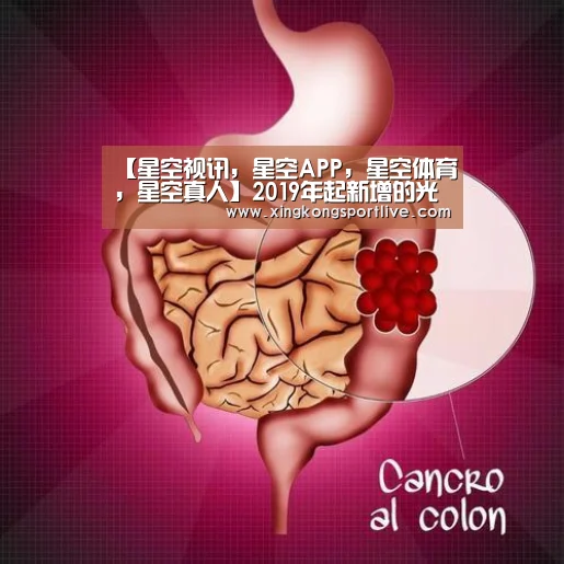【星空视讯,星空APP,星空体育,星空真人】2019年起新增的光伏、风电或将不拖欠补贴!(图1) 星空视讯,星空APP,星空体育,星空真人