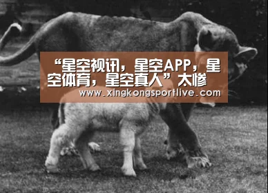 “星空视讯,星空APP,星空体育,星空真人”太惨了!曼联战巴黎不知所措 多名名将彻底瘫痪不战而败(图4) 星空视讯,星空APP,星空体育,星空真人